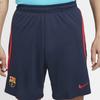 New Nike Casual Shorts Men Black DJ8593-451