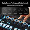 SAST 15-inch Outdoor Portable Bluetooth Karaoke Speaker CN plug (adapter included)