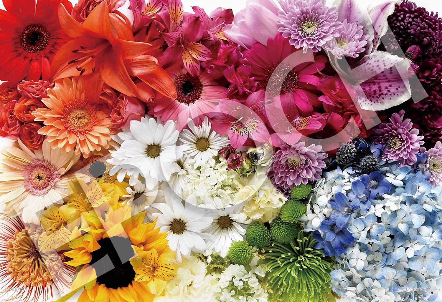 Epoch 1053 Super Small Piece Jigsaw Flower Rainbow with and Score Ticket Puzzle, Flower/Garden, (26x38cm), 31-520, Glue, Spatula,