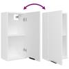 Wall Mounted Bathroom Cabinet White 32 x 20 x 67 cm