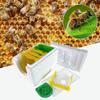 Mini Beehive Beekeeping Box Multi-Function Home Bee Boxes Bee Beekeeper Hive Hive Harvest Pollination Supplies Mating W0N5