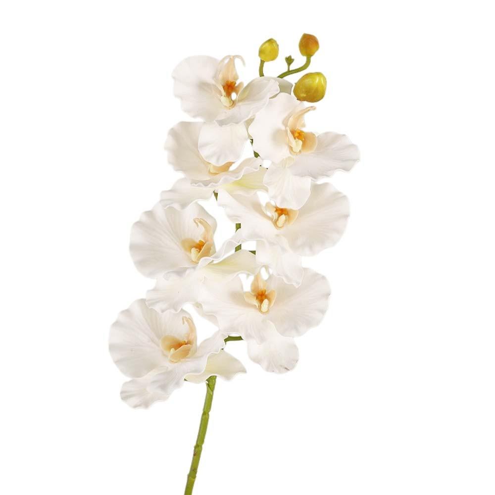 Handmade Simulation Big Moth Orchid Real Touch Faux Phalaenopsis  Wedding Party Favors