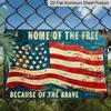 2D Flat Retro American Flag Patriotic Quote Aluminum Sign "Home of The Free Because of The Brave" Wall Decor Patriotic Home Decor, 4th of July