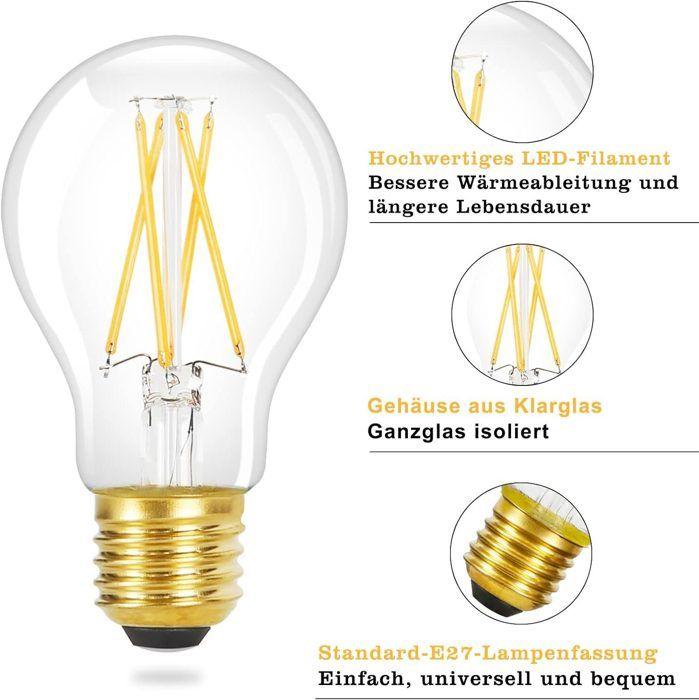 Pack de 6 ampoules LED E27 - NETTLIFE - A60 - Filament rétro Edison - 4W (blanc chaud 2700K) - Culot E27