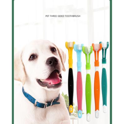 Köpek – Köpek bakım ürünleri