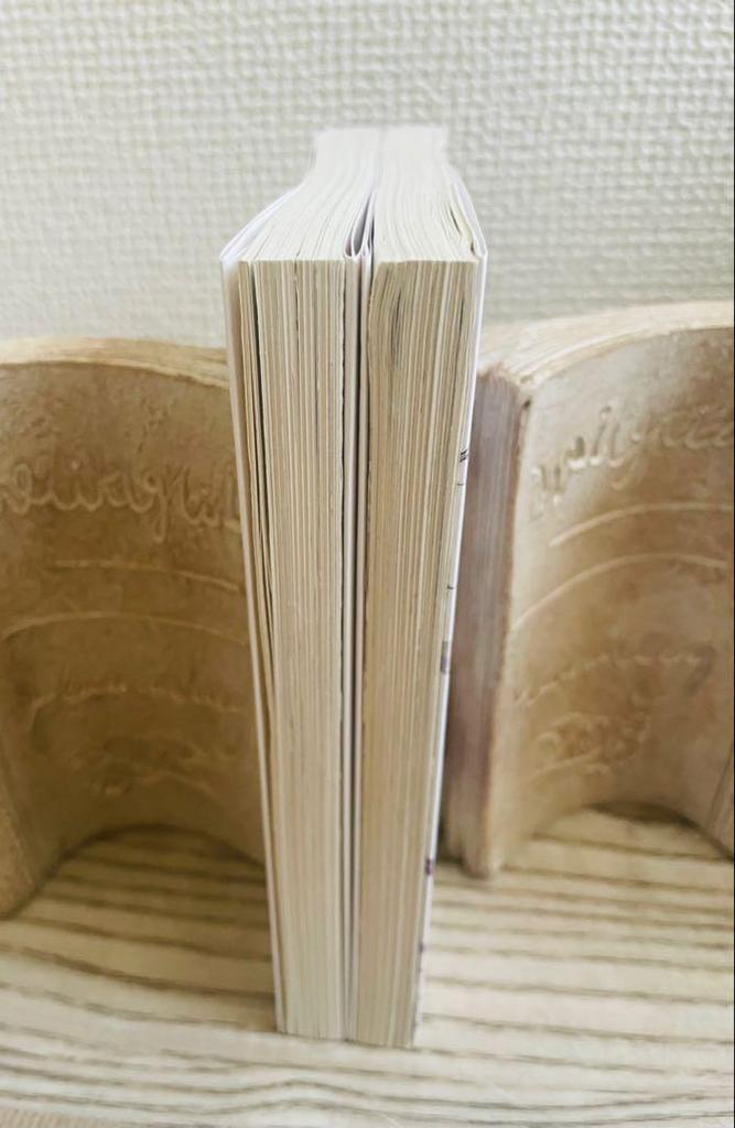 [USED] Re:Zero - Starting from Zero Short Stories Volume 1 and Volume 2 Re:Zero Bunko