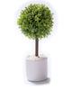 Boliginnredning – Dekorative blomster og kranser