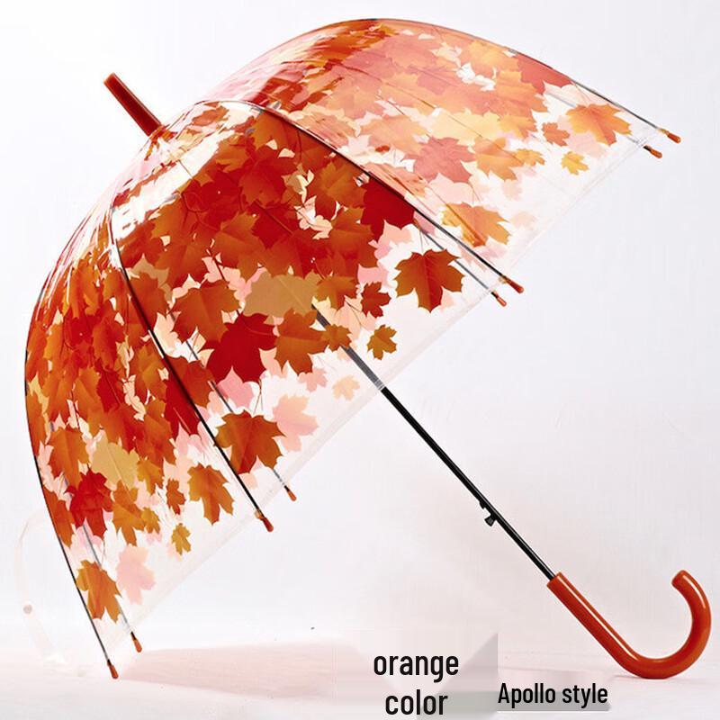 PALONY Arched Transparent Umbrella