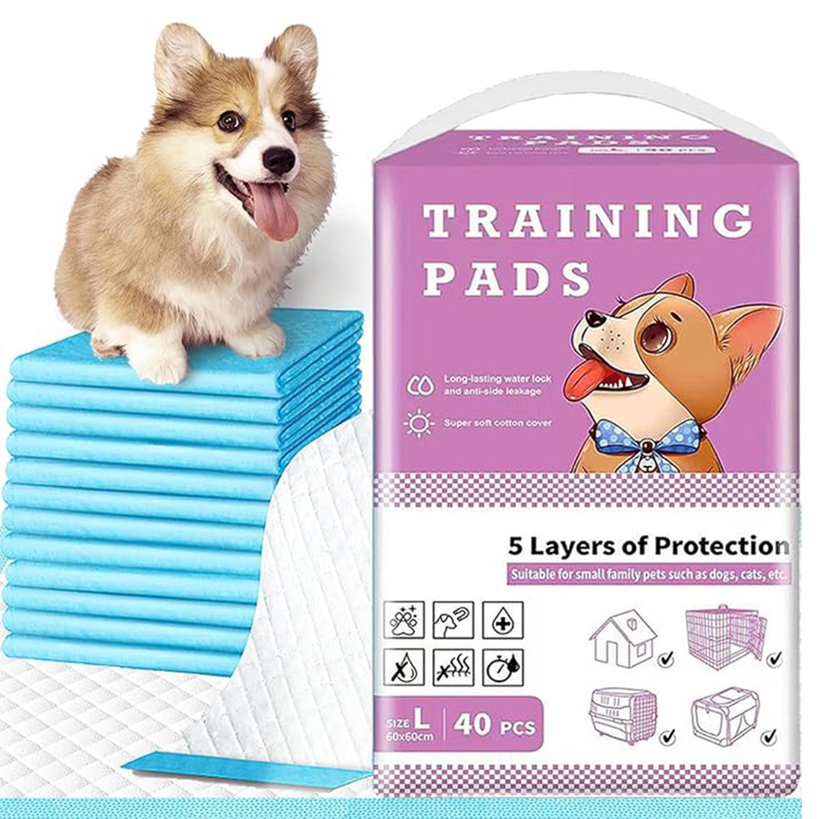 

Pet Urine Pad Thin Absorbent Disposable Dog Urine Pad Training Diaper For Dogs Pieces Urine Pad Pet Supplies One Size