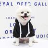 Pet Hoodies for Large Dogs Spring and  Fleece  Sweatshirt with Hat and Zip Pocket Pet Clothing