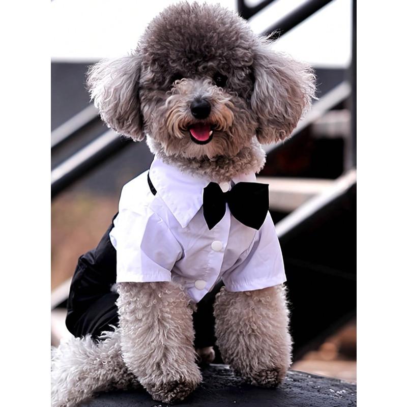 1pc Pet Cooling Shirt, 4-Leg Design, Formal Collar, Cat Dog Clothes