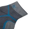 Regatta Womens/Ladies Trail Merino Mix Ankle Socks