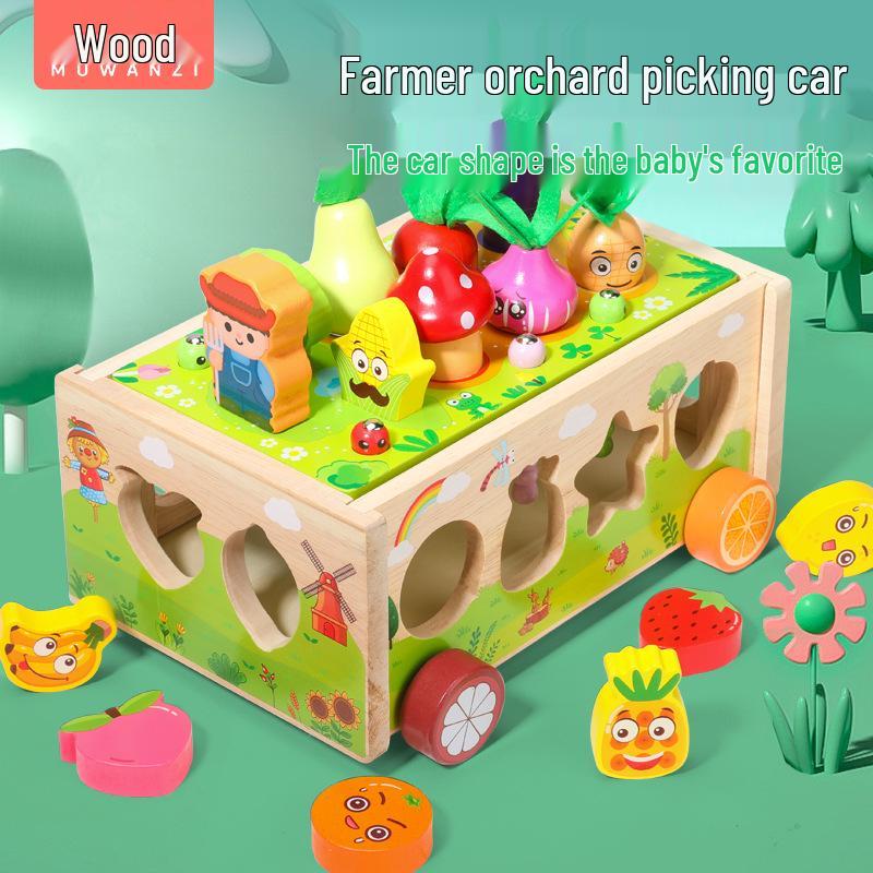 

Wooden Orchard Play Set: Pull, Match & Catch for Kids