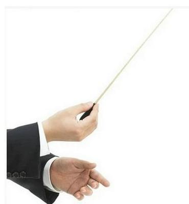 Professional Wooden Handle Conducting Baton for Stage Performance