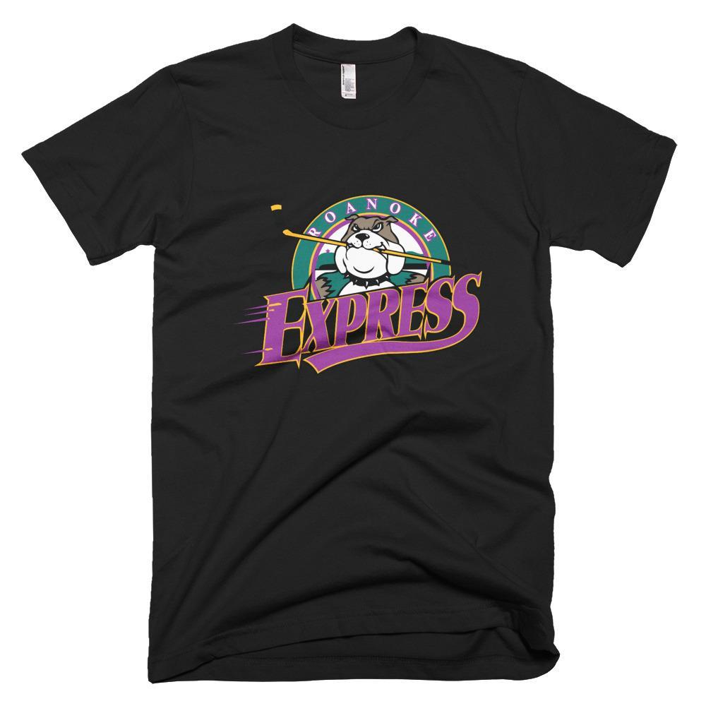 Roanoke Express ECHL minor league hockey t-shirt XXL