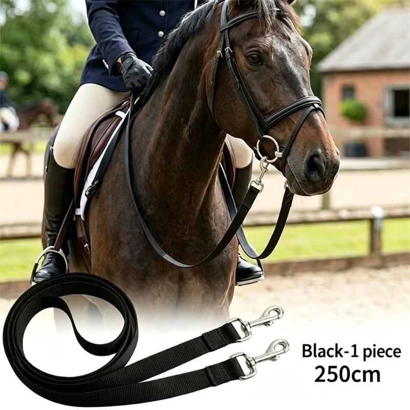 Horse Neck Stretcher Strap Set for Horse Schooling, Nylon Webbing with Metal Snap Clips, 250 cm Clip On Design for Neck Stretch Guidance, 2 Piece Set