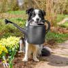 Plastic Watering Can, Gray, 10 L