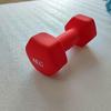 WEZHO 4KG Frosted Dumbbell (Single)