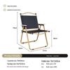 Portable Aluminum Folding Camping & Beach Chair