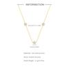 Wind Commuting Simple Wear S925 Sterling Silver Love Zircon Spell Five-Petaled Flower Element Necklace Collarbone Chain
