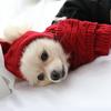 Haustier Hund Winter Warm Streifen Strickmütze + Schal Kragen Welpen Teddy Kostüm