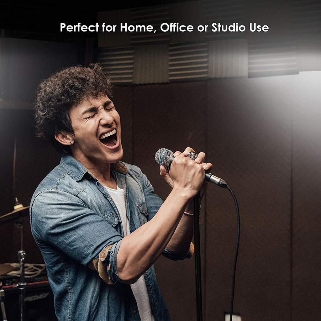 Suport pentru microfon COCOSUN drept cu 1 suport pentru microfon Suport microfon condensator Suport vertical trepied Excelent pentru seminarii live moderne din metal negru,