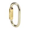 Outdoor Klettern Karabiner Bergsteigen Abstieg Sicherheit O-Typ Karabiner Clip für Rettung