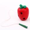 Wooden Worm & Apple Threading Puzzle: Children's Hand-Eye Coordination & Fine Motor Training Toy