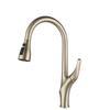 TLXT Kitchen Pull-Out Faucet