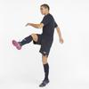 Puma Teamfinal Casuals Shorts 65738706 R S