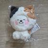 (Unopened) BTS BT21 BABY More Flappy Doll CHIMMY