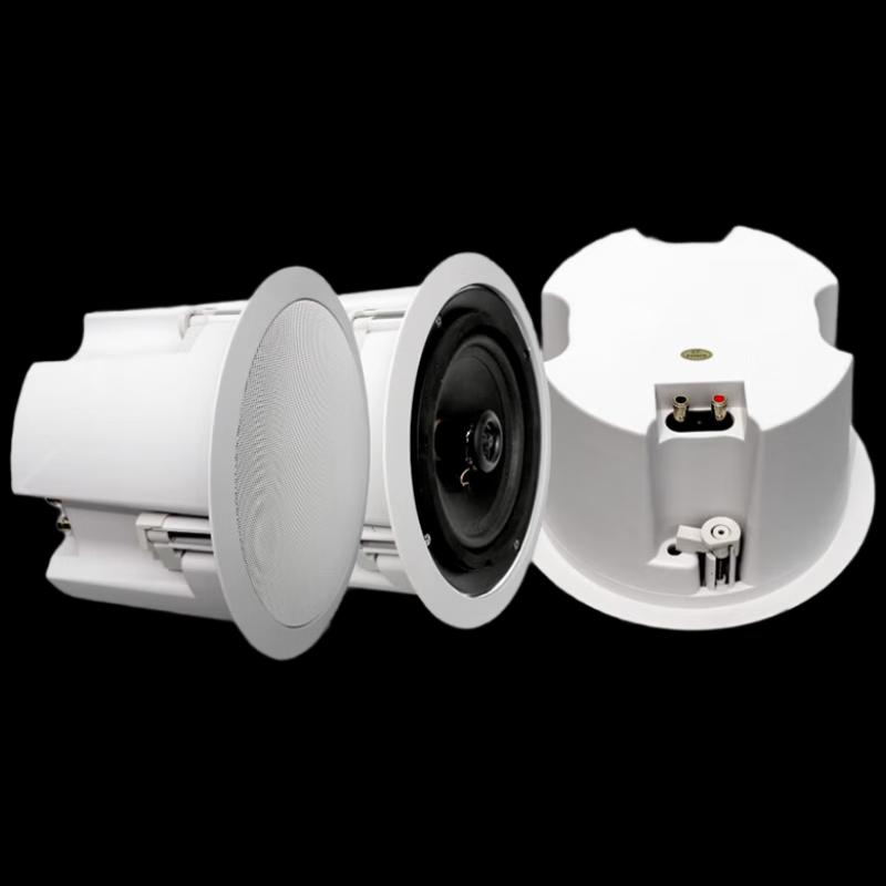 Easyview Professional 5-inch Ceiling Speaker (CN version)