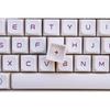 XDA Profile Keycaps In Milk Purplee PBT Material Ball Cap Design Hot Sublimation 137Keys For Multiple Layouts Including 75 68 980 87