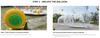 Inflatable Bubble House Clear PVC Dome Tent with Blower Quick Inflation 3-5 Min for Kids Party Backyard Garden Outdoor Play CE EN71 Certified