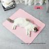 Summer Cooling Ice Pad: Ice Silk Mat for Dogs and Cats
