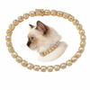 Moda Corrente de Tênis Quadrada Cor Dourada 12mm Coleira de Gato com Strass Coleira de Metal Brilhante para Gatos Cachorros 2026 Novo Design 13 polegadas