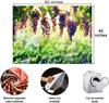 Vineyard Tapestry Grapes Clusters Wine Rustic Vintage Tapestry Wall Hangings Tapestry for Kids Bedroom Living Room Dorm Man Cave