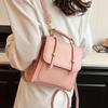 Small Niche Design Bag, New Fashionable Backpack, Women's Handbag, Korean Version Backpack, Outdoor Travel Backpack, Versatile