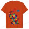 Funny Elephant Autism Awareness T-shirt for Women Acceptance Neurodiversity Summer Shirts Hip Hop Streetwear Short Sleeve Tees