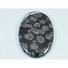 55Cts. Natural Black Fossil Coral Oval Cabochon Loose Gemstone 28X41X05 MM B-335