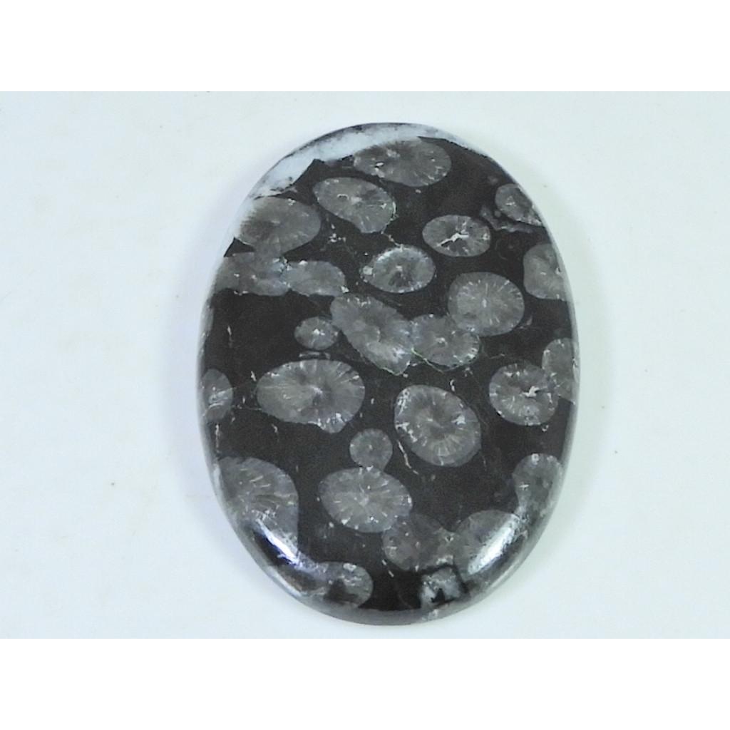 55Cts. Natural Black Fossil Coral Oval Cabochon Loose Gemstone 28X41X05 MM B-335
