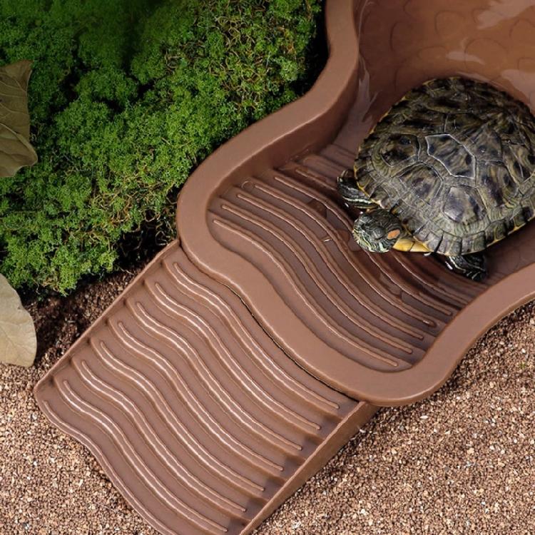 Turtles Habitat Bowl With Ergonomic Steps 4.3cm Depth Scratch Resistant For Indoor and Outdoor Use