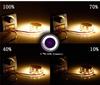 Manual Knob Dimmer Controller DC 12V-24V 30A For Single Color LED Strip Lights