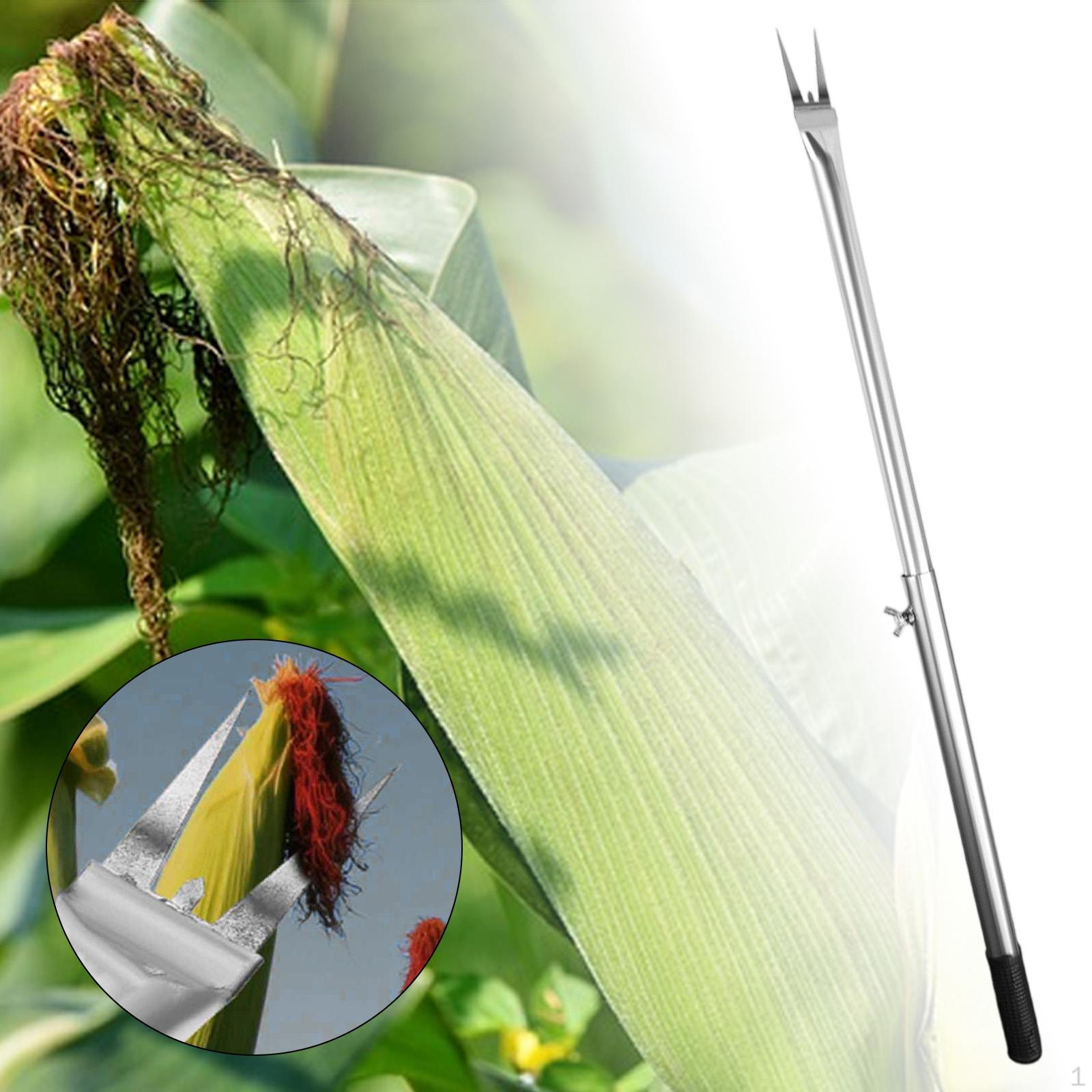 

Corn on The COB Remover Easy to Clean Stainless Steel Seedling Removal Tool Sprout Peeling