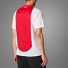 Adidas Domácí dres Ajax Amsterdam 24/25 Odvádějící vlhkost Pohodlné Fotbalové tričko s krátkým rukávem Pánské Topy Bílá Červená IT6168