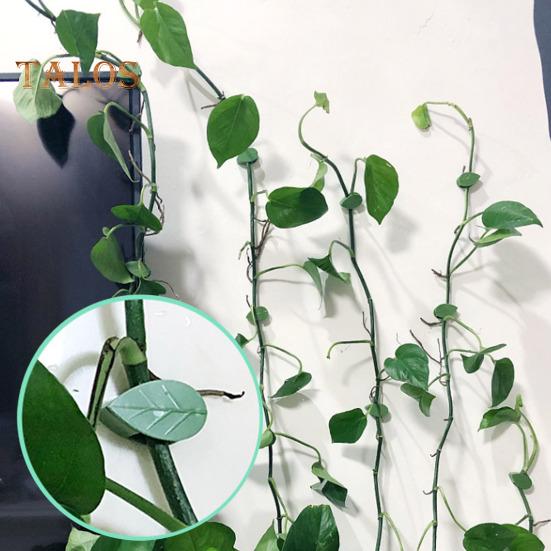10/30/50/100 stk Plantevinholder Klatreveggfesteklips med klare selvklebende klistremerker Bladform Plantefikseringsklemmer for innendørs utendørsvegg
