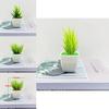 Artificial Succulent Plant With Plastic Craft For Home Decor And Office Use