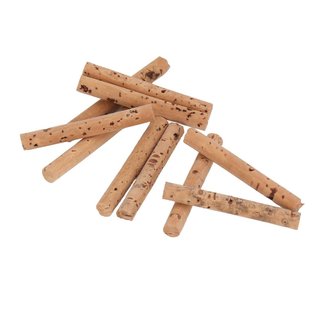 10 st Karpfiske Korkpinnar Karpfiske Boilies Bete Korkpinne Rigg Metodmatare Bete Flytkraft