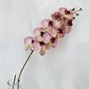 Phalaenopsis Aphrodite Rch Artificial Flower For Wedding Decor And Home Arrangement