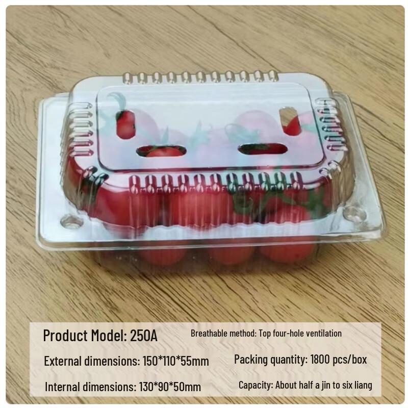 Shengbilei 250g Flat Long Disposable Food Containers